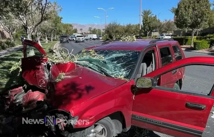 A woman killed in car accident highlights the importance of road safety and awareness.