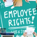 Key legal rights every employee should know illustrated as a shield protecting workers in various professions.